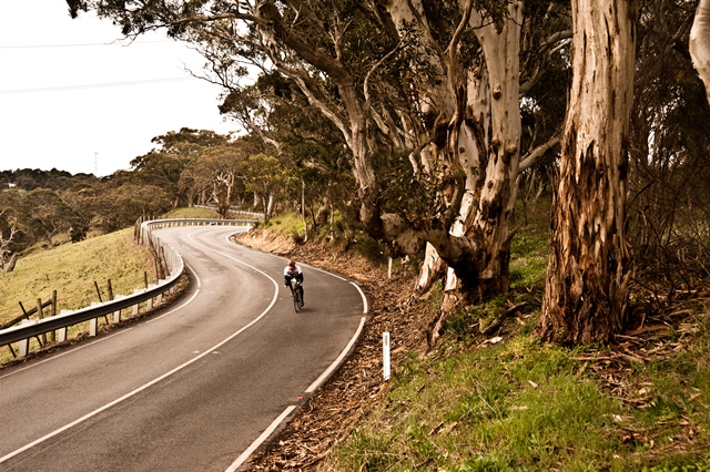 Old Willunga Thrill - Bicycling Australia